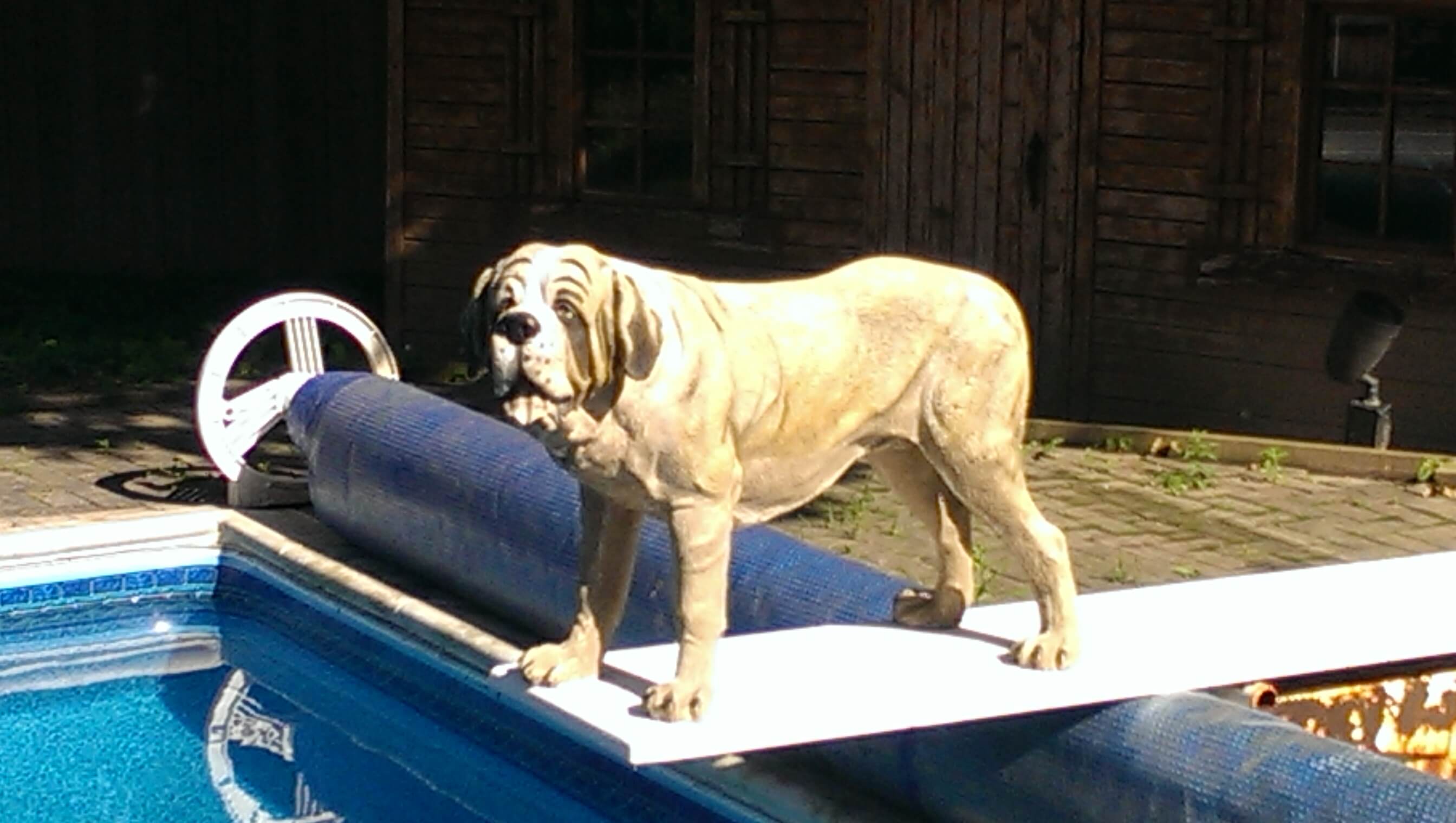 Our Work – Happy Customer